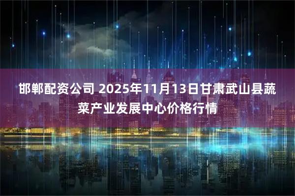 邯郸配资公司 2025年11月13日甘肃武山县蔬菜产业发展中心价格行情
